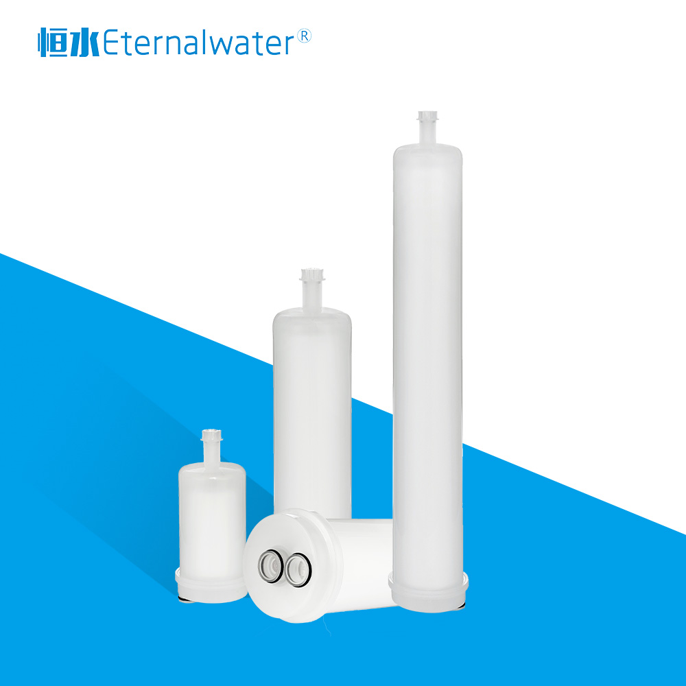 胶囊式过滤器
